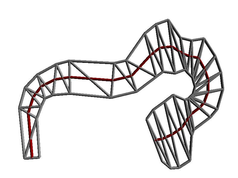 Stage 3: central skeleton Stage 3: central skeleton