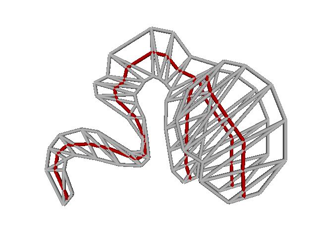 Stage 3: central skeleton Stage 3: central skeleton