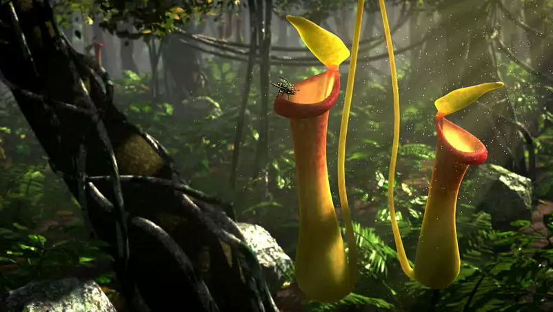 Blender Nature academy